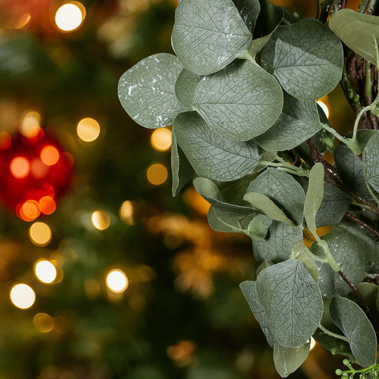 Festive Green Eucalyptus Wreath
